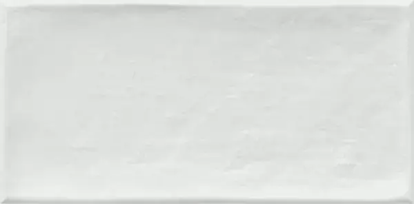 Керамическая плитка Etnia Blanco 10x20