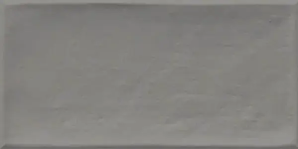 Керамическая плитка Etnia Gris 10x20