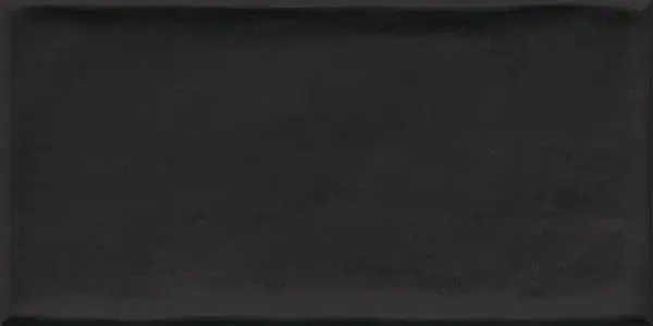 Керамическая плитка Etnia Negro 10x20