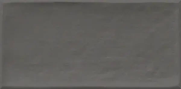 Керамическая плитка Etnia Antracita 10x20