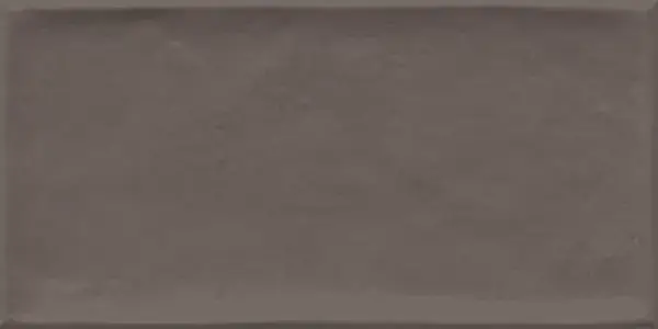 Керамическая плитка Etnia Vison 10x20