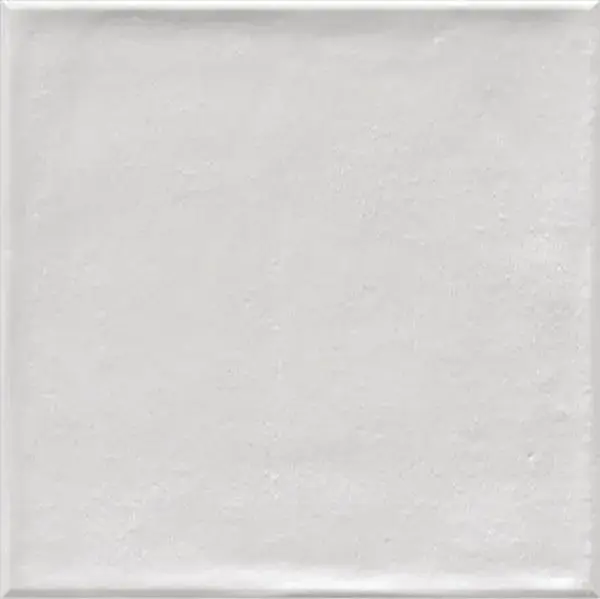 Настенная плитка Etnia Blanco 20 20x20