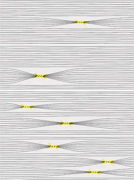 Настенная плитка Inuit Otomi-4 25x75