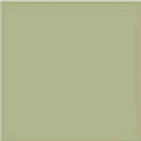 Напольная плитка Musgo 20x20