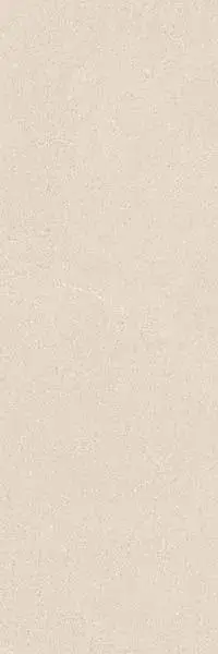 Керамогранит Oise-R Arena 32x99