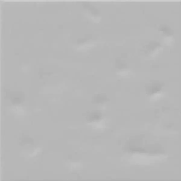 Настенная плитка Paola Gris-B 20x20