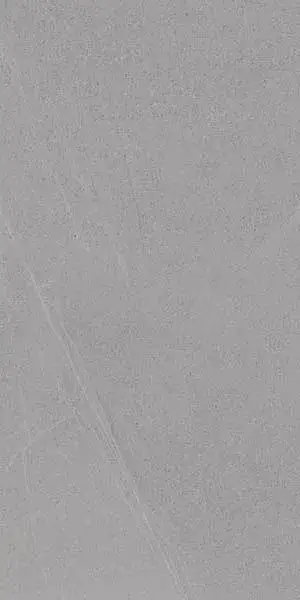 Керамогранит Seine-R Gris 60120 60x120