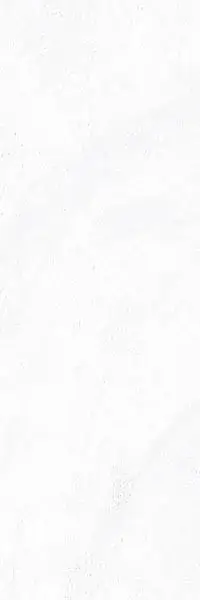 Настенная плитка Stravaganza-R Blanco 25x75