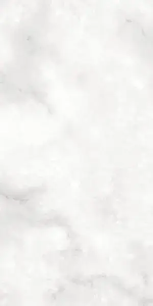 Керамогранит Sifo Blanco R 119 59.3x119.3