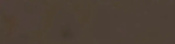 Керамогранит Zero Origo Brown 8x31.5