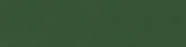 Керамогранит Zero Origo Green 8x31.5