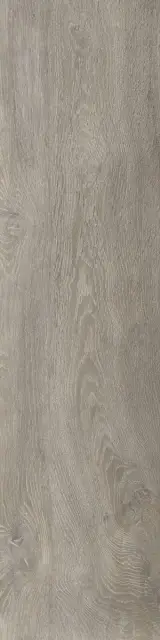 Керамический гранит STEAM WORK ASH 30X120