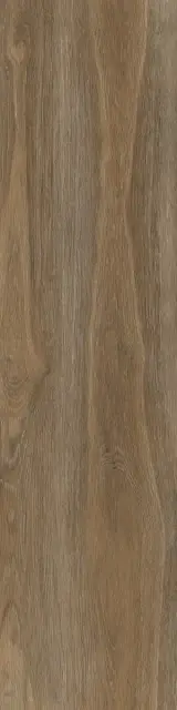 Керамический гранит STEAM WORK NUT 30X120