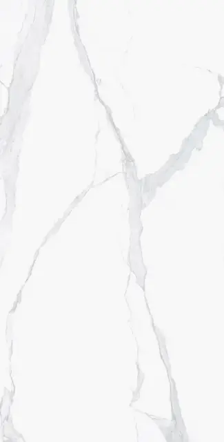 Керамогранит I CLASSICI STATUARIO SOFT.60x120 RET