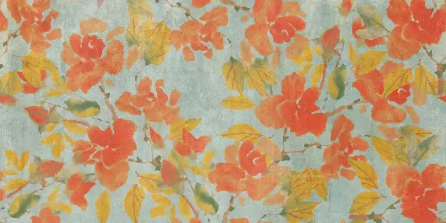 Керамическая плитка  W&S D BRUSH TANGERINE   60X120