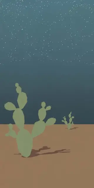 Керамическая плитка W&S D ARIZONA B 120x240