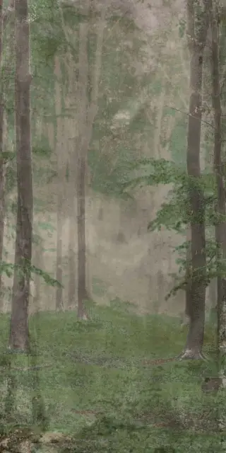 Керамическая плитка W&S D+ WOODS B  120x240