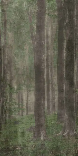 Керамическая плитка W&S D+ WOODS A   120x240