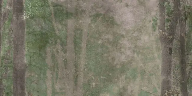 Керамическая плитка W&S D CP4 WOODS B  120X240