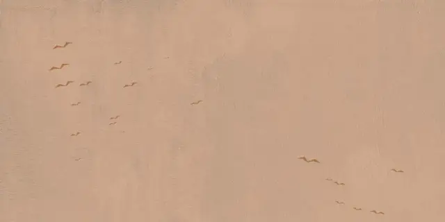 Керамическая плитка W&S D CP4 COUNTRY C  120X240