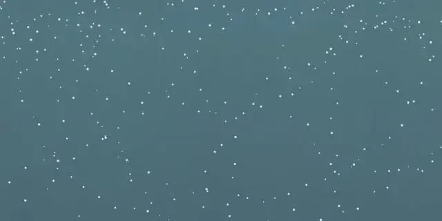 Керамическая плитка W&S D CP4 ARIZONA C 120X240