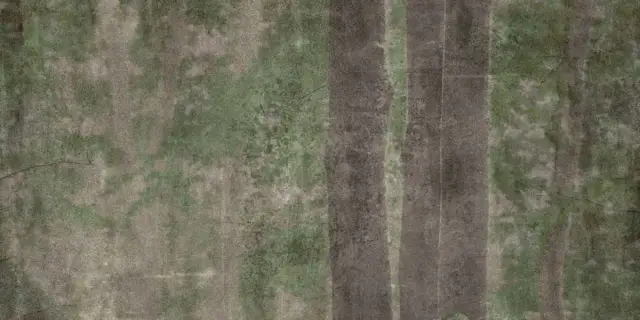 Керамическая плитка  W&S D+ CP4 WOODS C