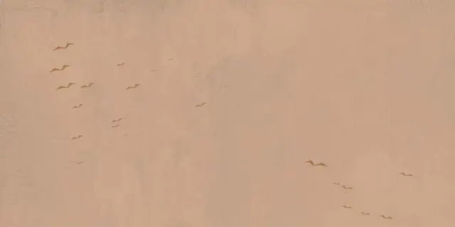 Керамогранит  W&S D+  CP4 COUNTRY B  120X240