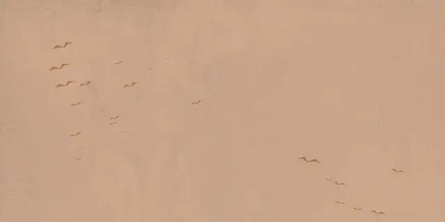 Керамогранит  W&S D+  CP4 COUNTRY A  120X240