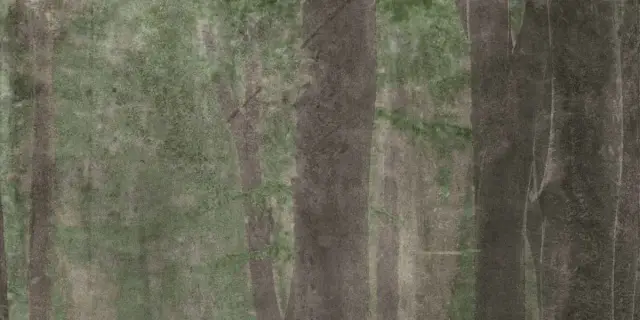 Керамическая плитка  W&S D+ CP4 WOODS A   120X240