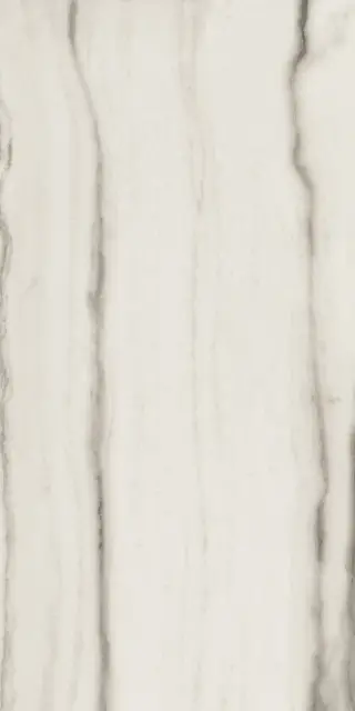 Керамогранит PREXIOUS REX WHITE FANTASY MAT 60X120 R