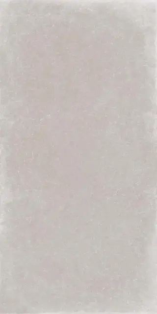 Керамогранит GENT ASH RET 120X240