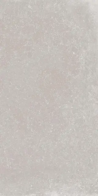 Керамогранит GENT ASH RET.  	60X120