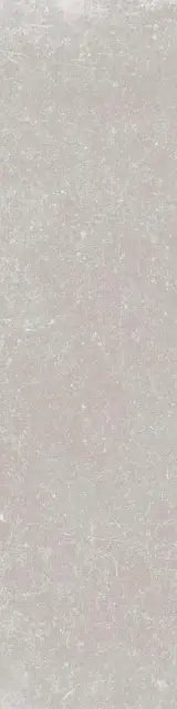 Керамогранит GENT ASH RET.  30X120
