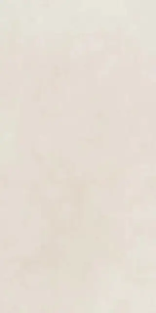 Керамическая плитка DOCKS WHITE PAT.RETT 40X80