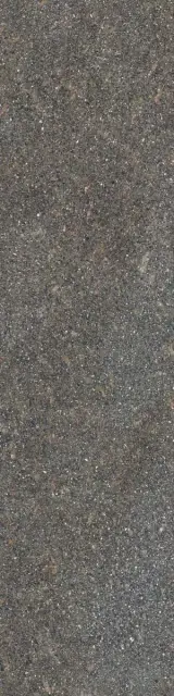 Керамогранит NATIVE FOREST RET  30X120