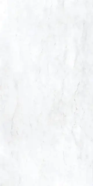 Керамическая плитка BIANCO BERNINI NAT RETT	120x240