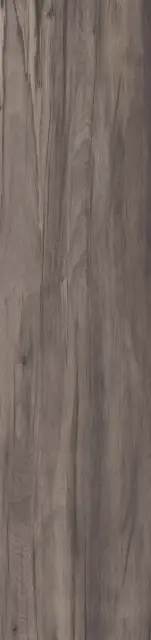 Плитка напольная DOLPHIN COAL RETT. 	40X170