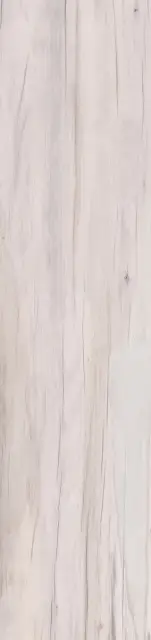 Плитка напольная DOLPHIN MOON RETT. 	40X170