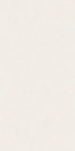 Керамическая плитка WIDE&STYLE MINI SNOW RET 60х120