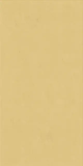 Керамическая плитка WIDE&STYLE MINI GINGER RET 60х120