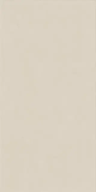 Керамическая плитка WIDE&STYLE MINI ALABASTER RET 60х120