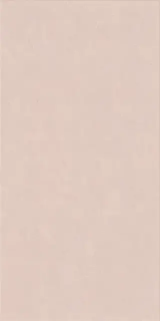 Керамическая плитка WIDE&STYLE MINI POWDER RET 60х120