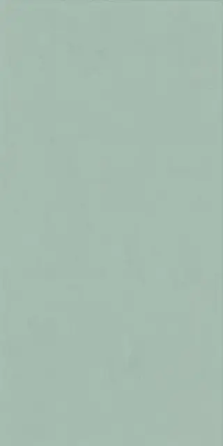 Керамическая плитка WIDE&STYLE MINI MINT RET 60х120