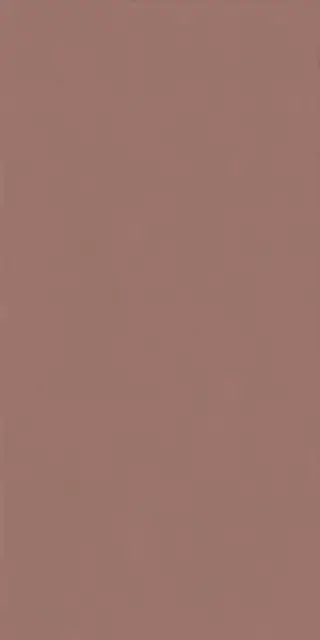 Керамическая плитка WIDE&STYLE MINI PAPRIKA RET 60х120