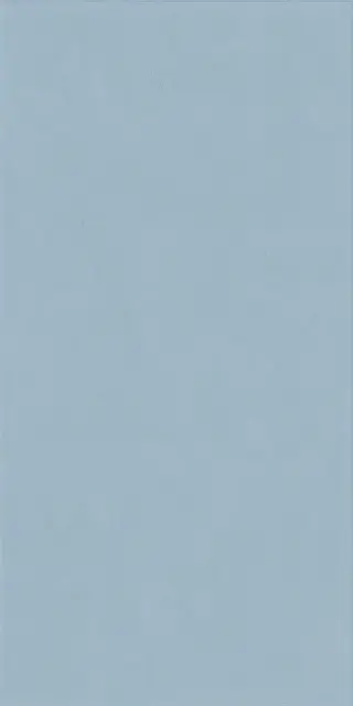 Керамическая плитка WIDE&STYLE MINI SKY RET  60х120