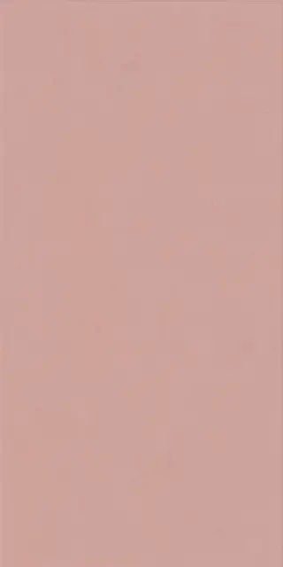 Керамическая плитка WIDE&STYLE MINI PHARD RET 60х120