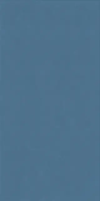 Керамическая плитка WIDE&STYLE MINI WHALE RET 60х120