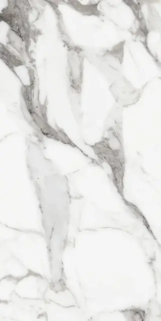 Керамогранит LES ORIGINES DE REX  ARGENT GLOSSY 60X120