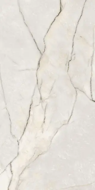 Керамогранит EPOQUE 21 LILAC WHI.LAPP. 3D R60X120