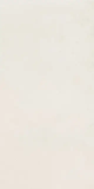 Керамогранит NUANCES AVORIO SQ.  120X60